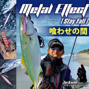 Jackson Metal Effect Stay Fall 30g 75mm Jig Yem - Görsel 3
